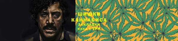 PSILOCYBIN Балахна