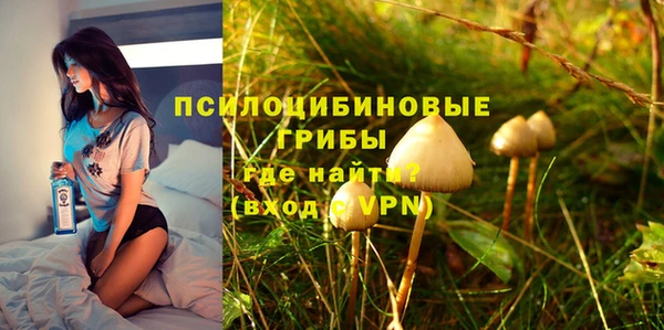 стафф Баксан