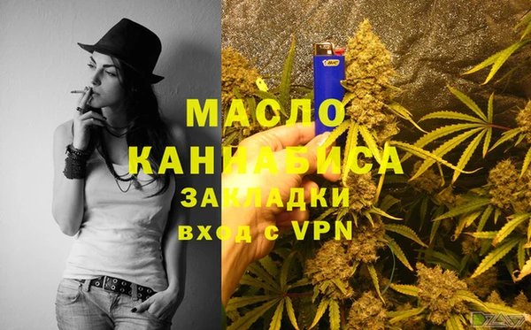 spice Богородицк