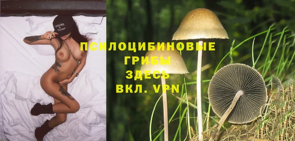 Альфа ПВП Богданович
