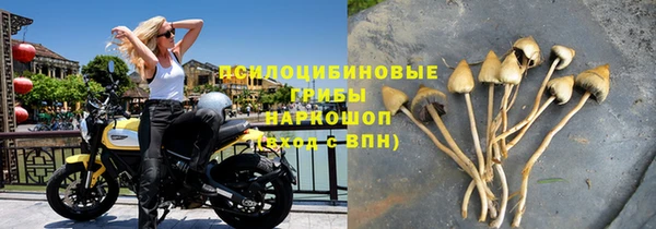 PSILOCYBIN Балахна