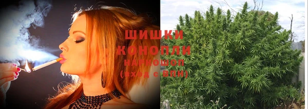 spice Богородицк