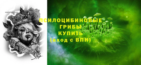 spice Богородицк