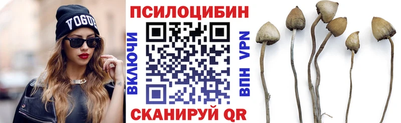 Галлюциногенные грибы GOLDEN TEACHER  сколько стоит  Большой Камень 